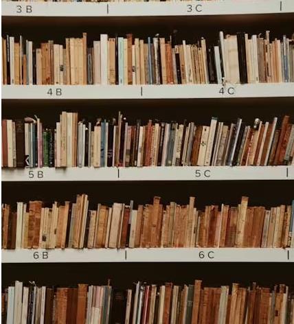 100 萬(wàn)本公共領(lǐng)域書籍，為 AI 訓(xùn)練提供合法數(shù)據(jù)